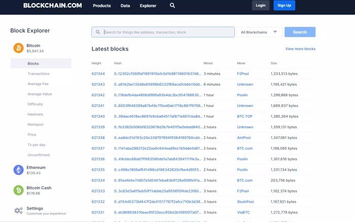 Bitcoin Transactions: How They Work Behind the Scenes