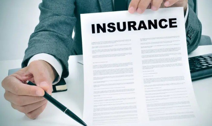 Insurance Companies Fear This Lawyer – Find Out Why