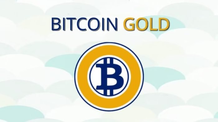 Why Bitcoin is Called ‘Digital Gold’ by Investors